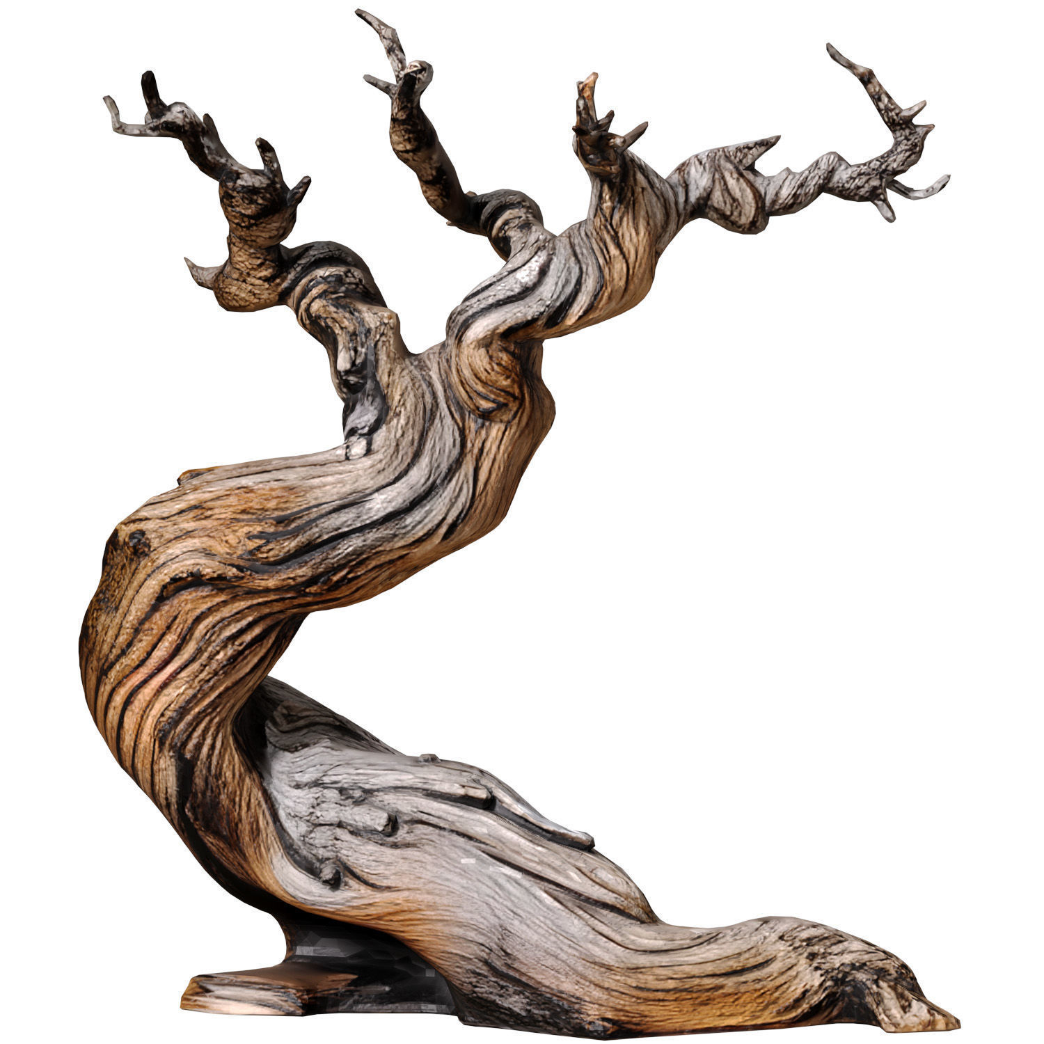 Decorative Old Twisted Weathered Tree with Gnarled Branches 3D model_1