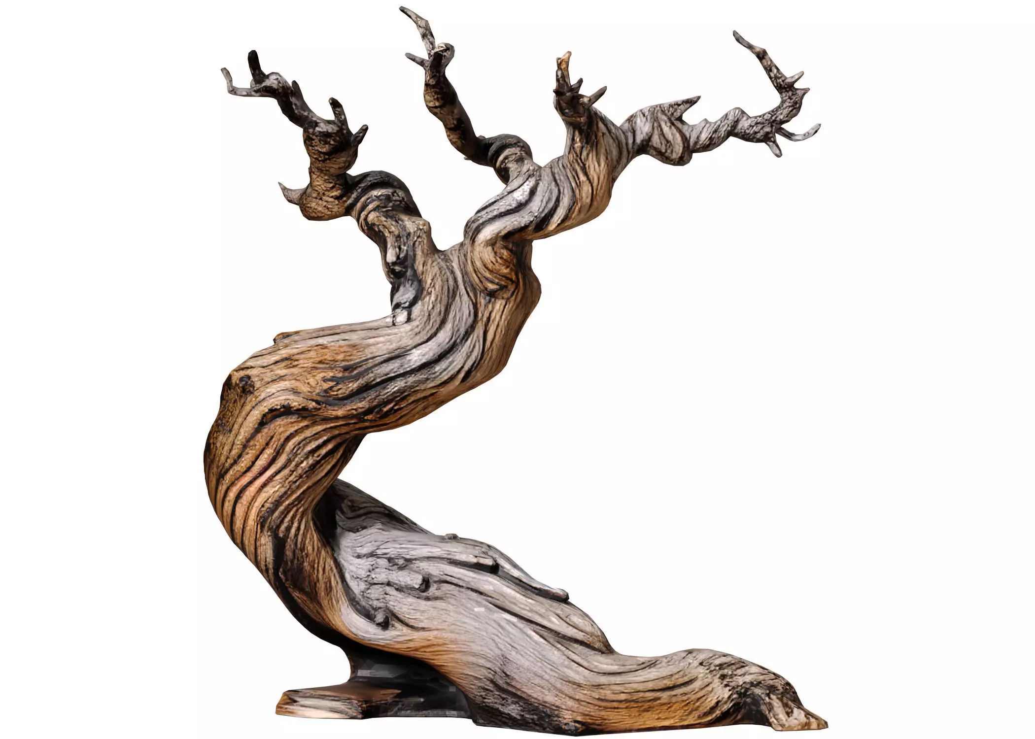 Decorative Old Twisted Weathered Tree with Gnarled Branches 3D model_0