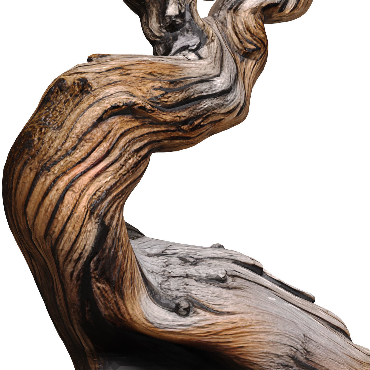 Decorative Old Twisted Weathered Tree with Gnarled Branches 3D model_2