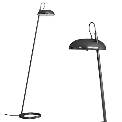 Contemporary Black Metal Floor Lamp  3D model_0