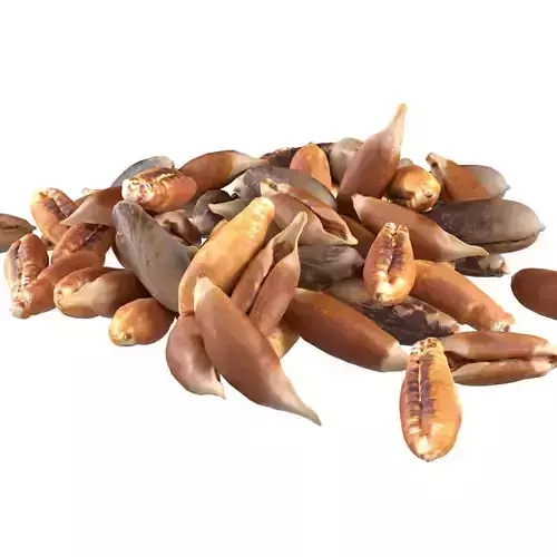 Date seed pile 