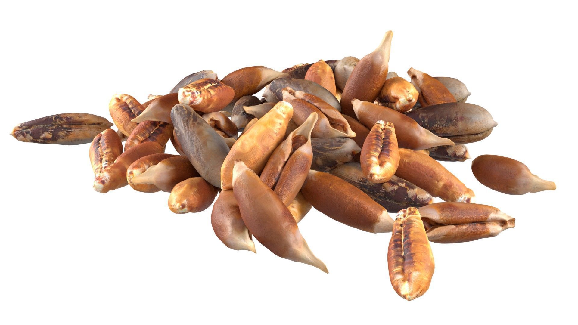 Date seed pile  Low-poly 3D model_4