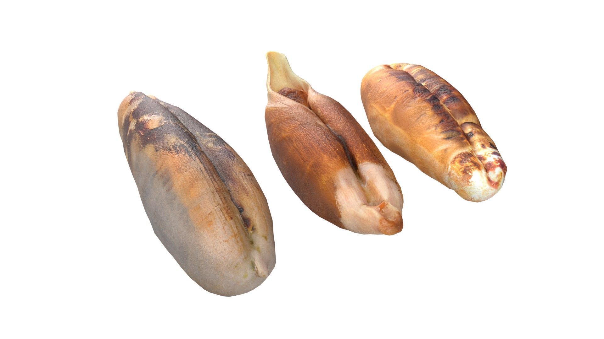 Date seeds  Low-poly 3D model_3