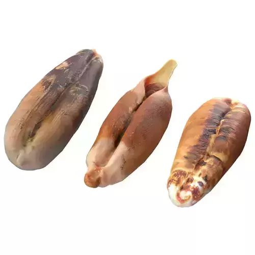 Date seeds 