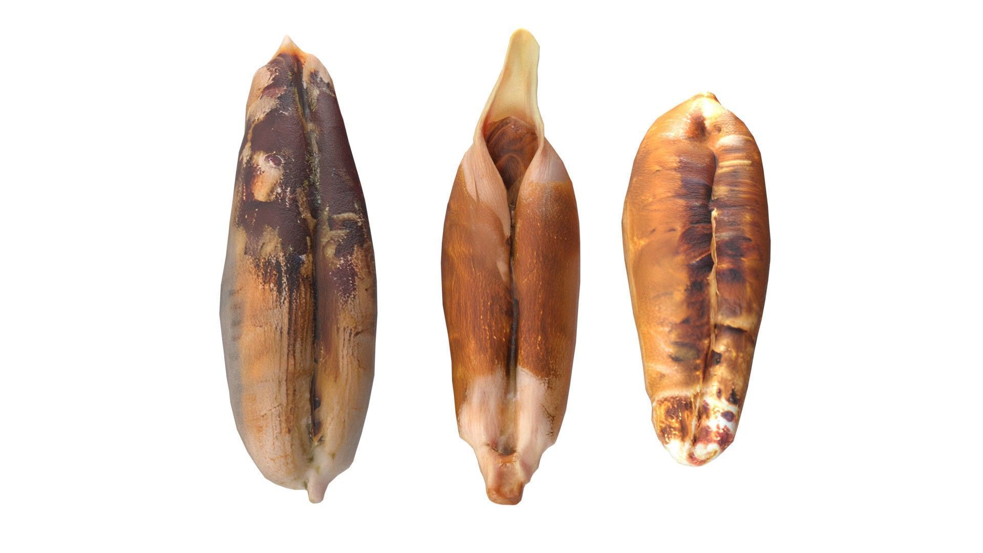 Date seeds  Low-poly 3D model_2