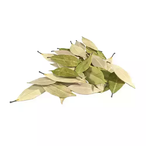 Dried bay leaves pile