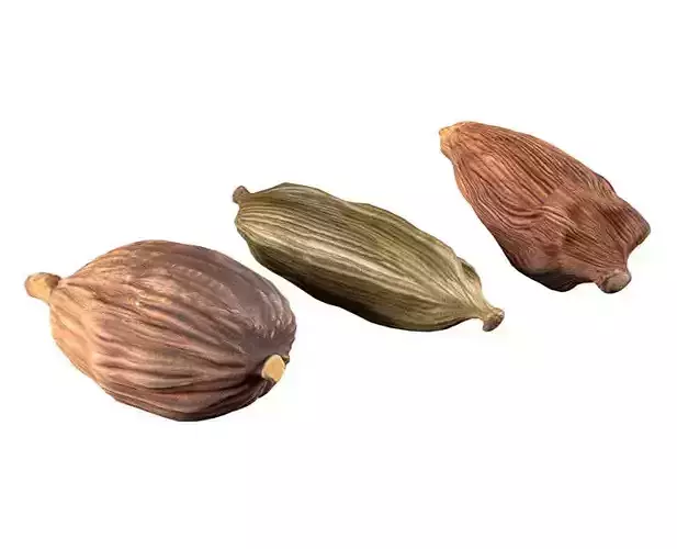 Dried cardamom fruit 