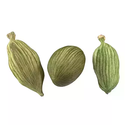 Dreid Green cardamom  