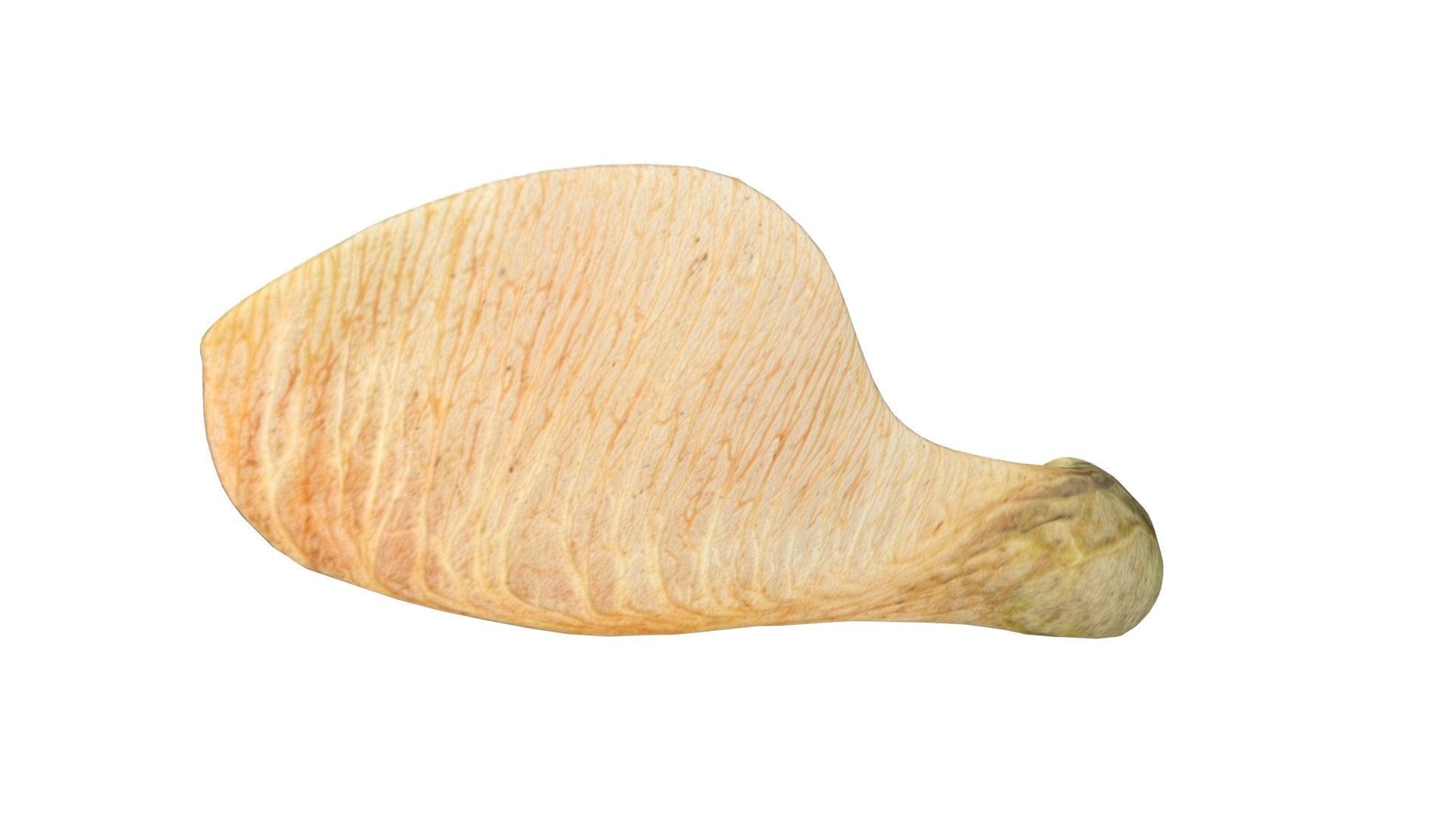 Dry maple seed v2   Low-poly 3D model_4