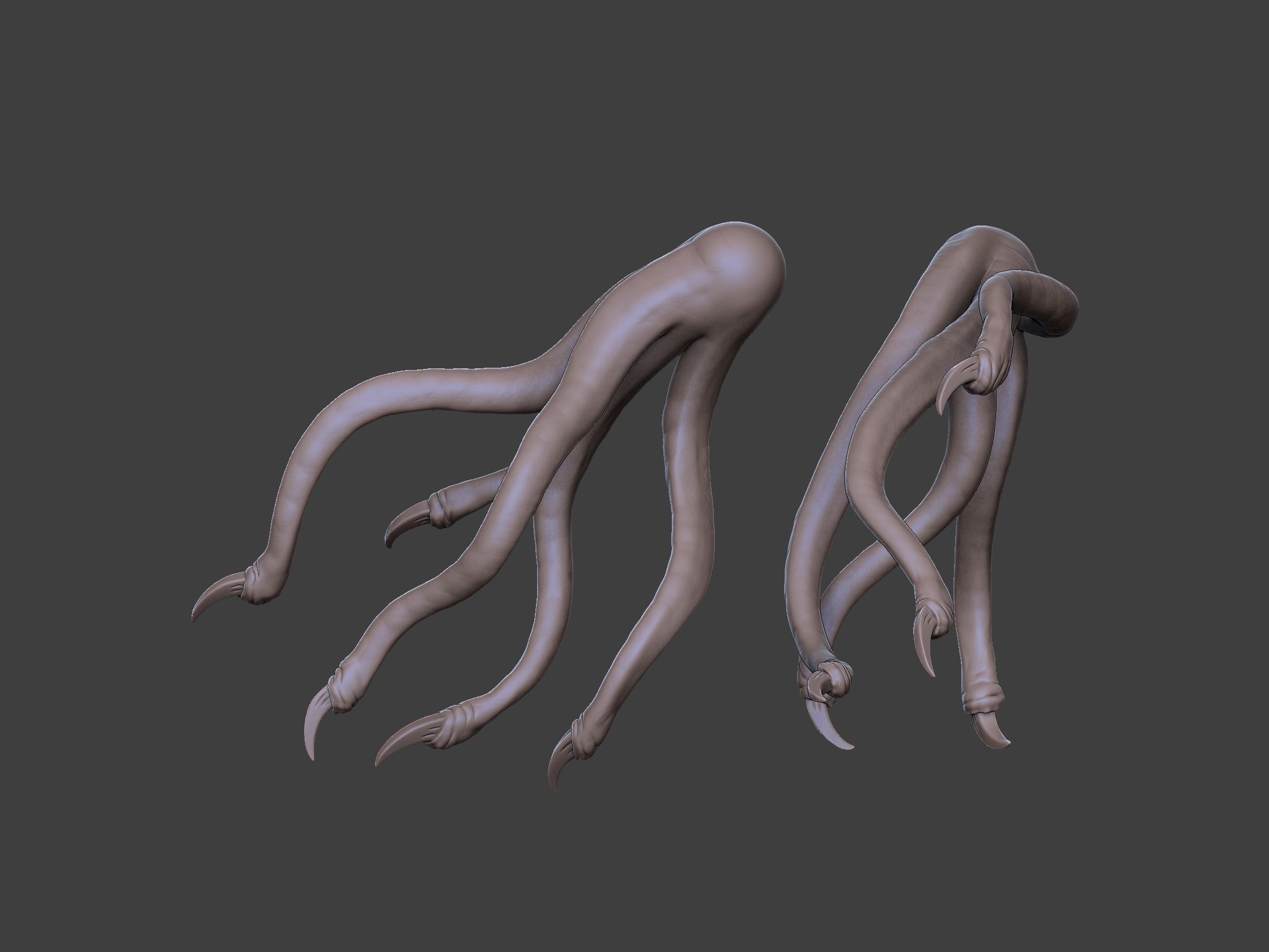 Xenoteras Maledictor 3D print model_22