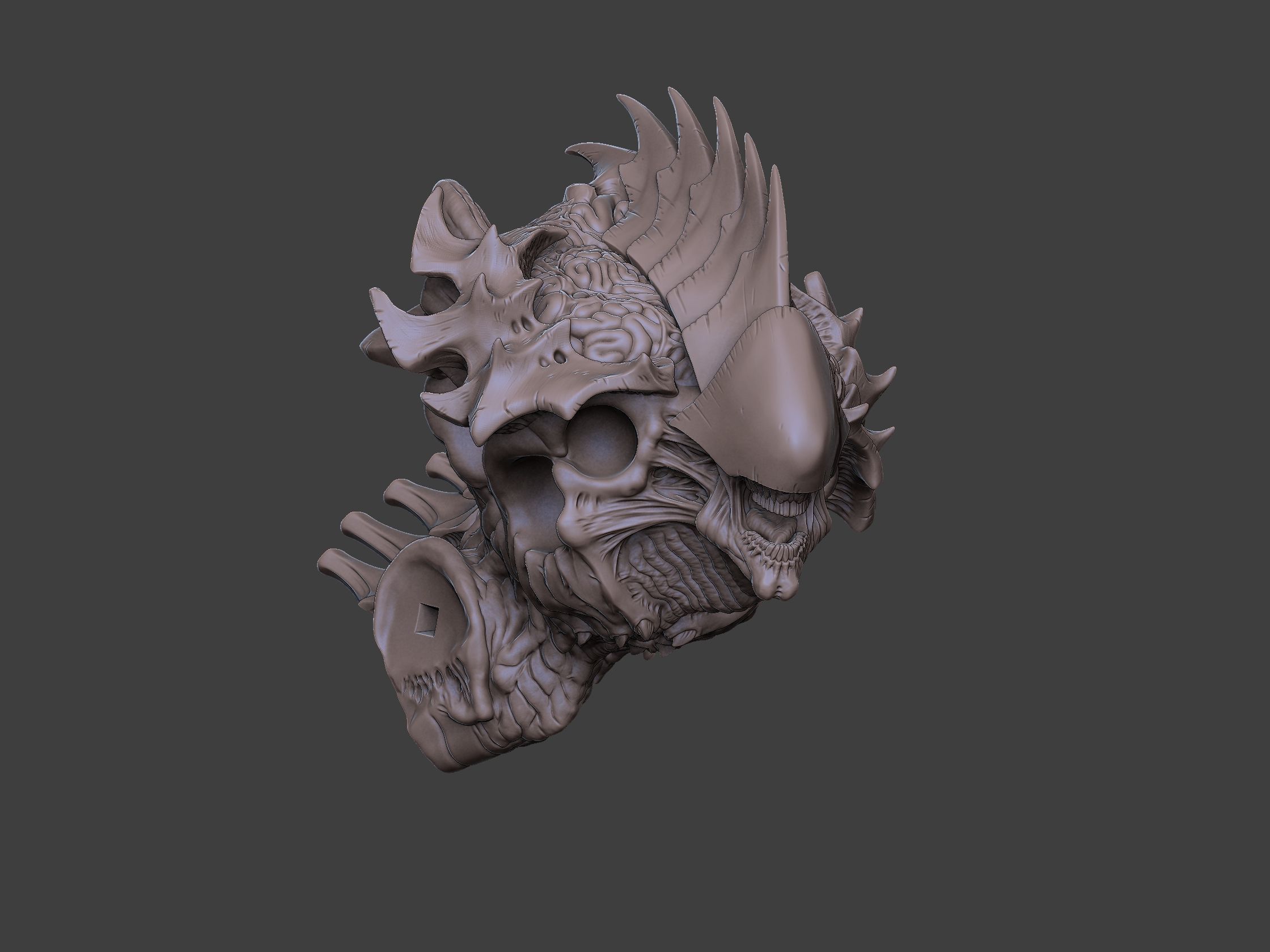 Xenoteras Maledictor 3D print model_30