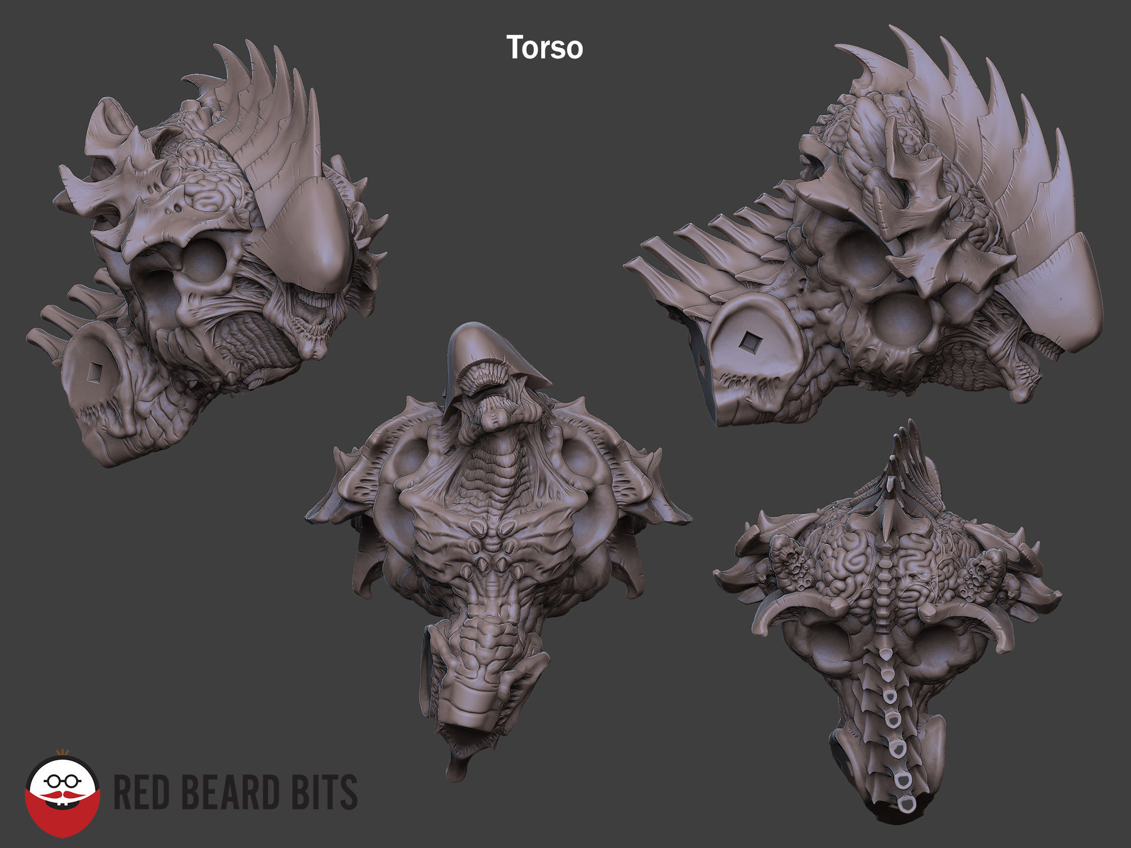 Xenoteras Maledictor 3D print model_6