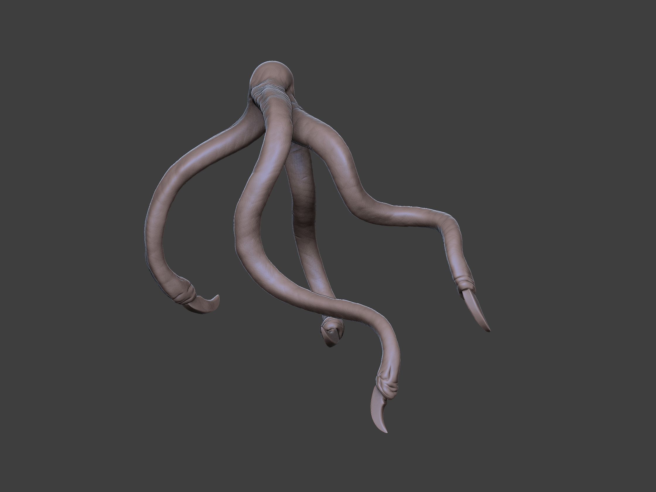 Xenoteras Maledictor 3D print model_34