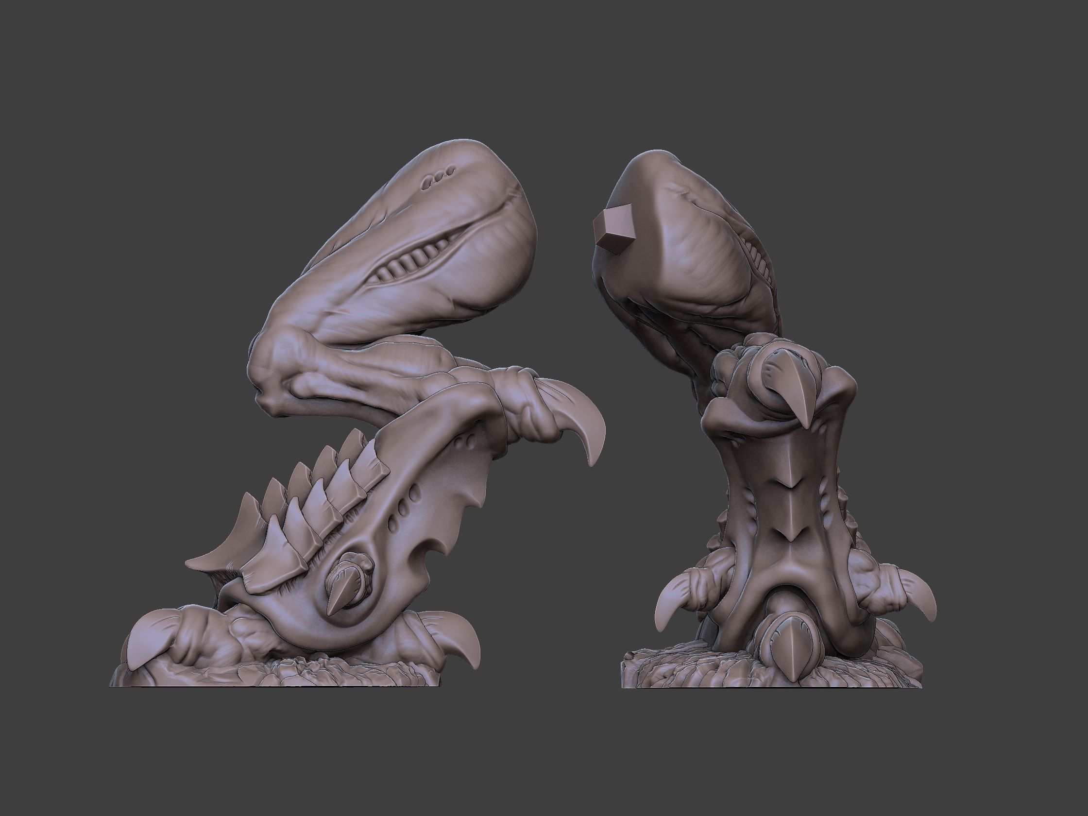 Xenoteras Maledictor 3D print model_17