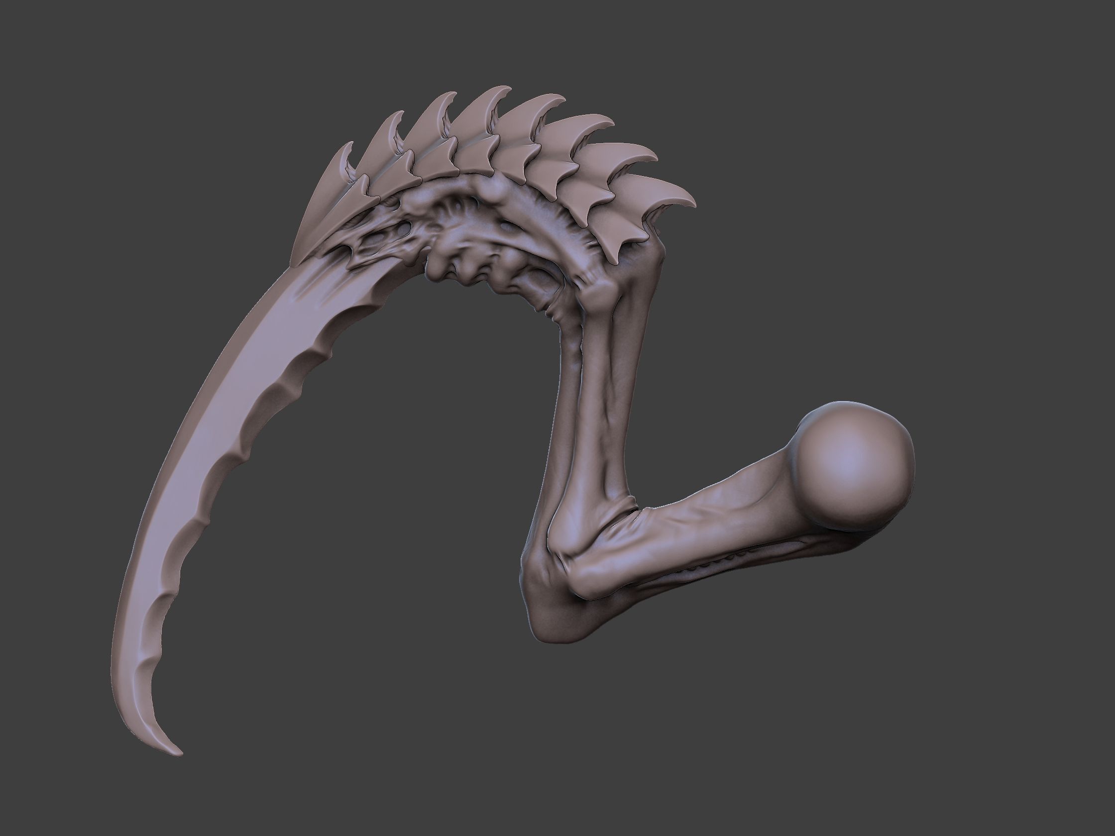 Xenoteras Maledictor 3D print model_18