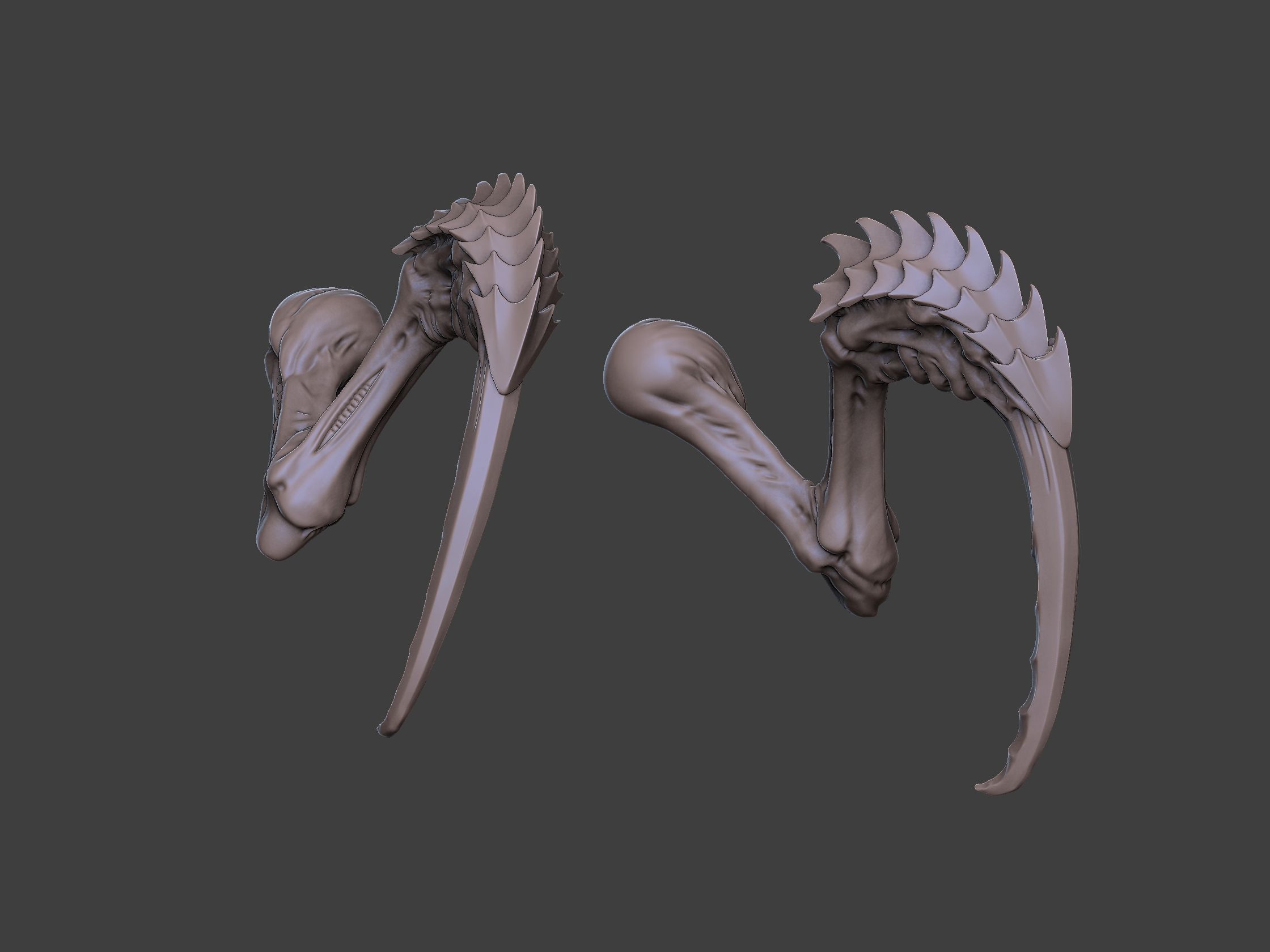 Xenoteras Maledictor 3D print model_20