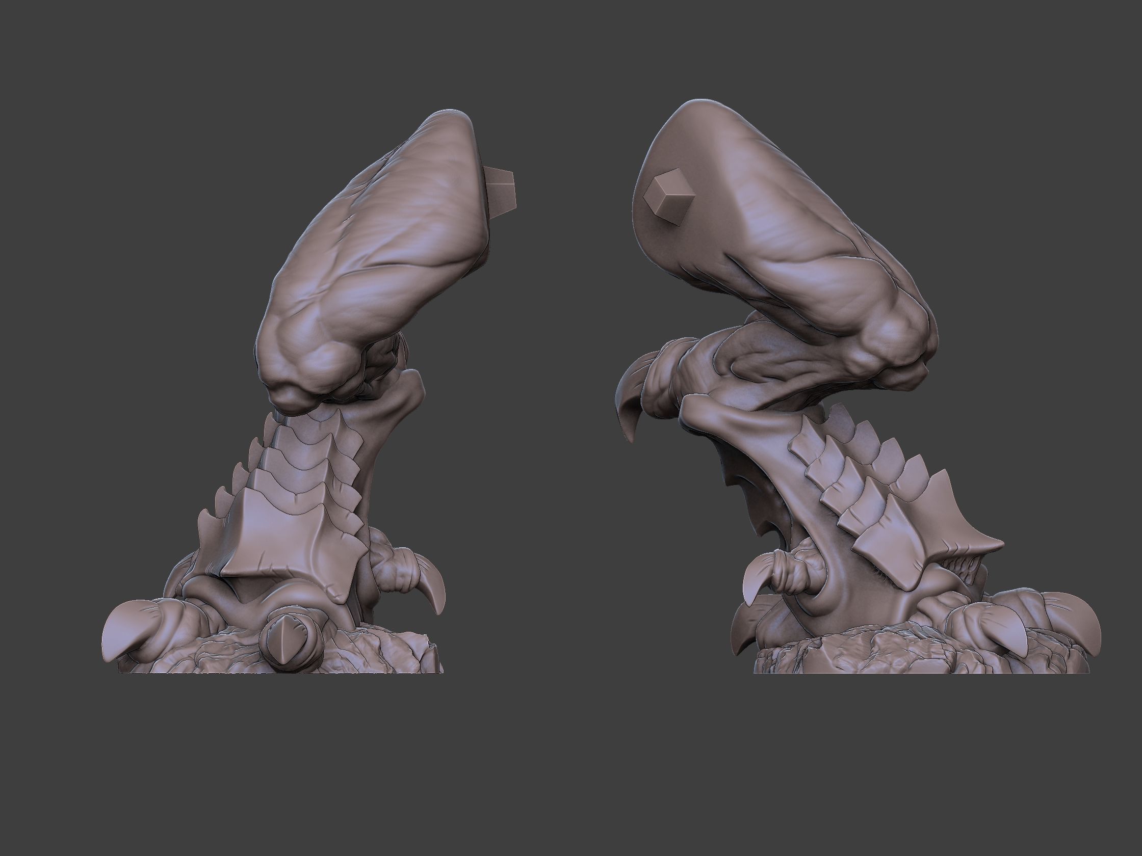 Xenoteras Maledictor 3D print model_15