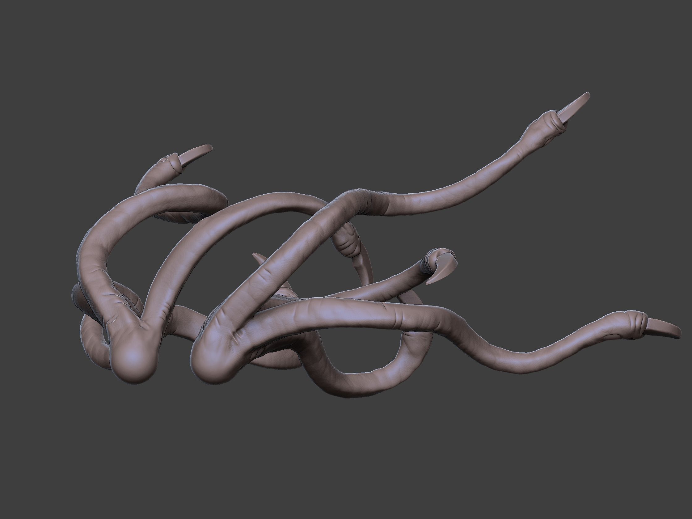 Xenoteras Maledictor 3D print model_25