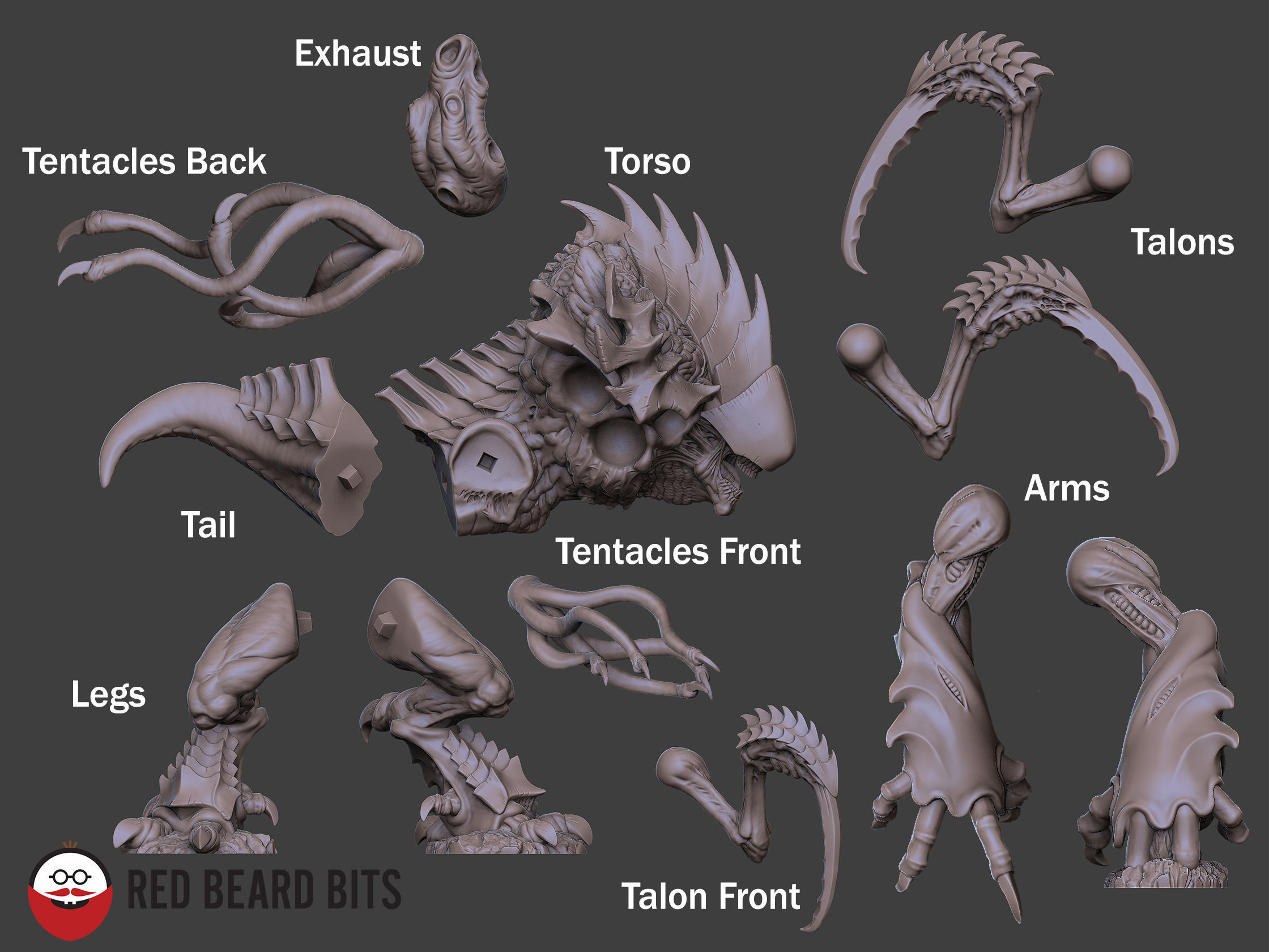 Xenoteras Maledictor 3D print model_7