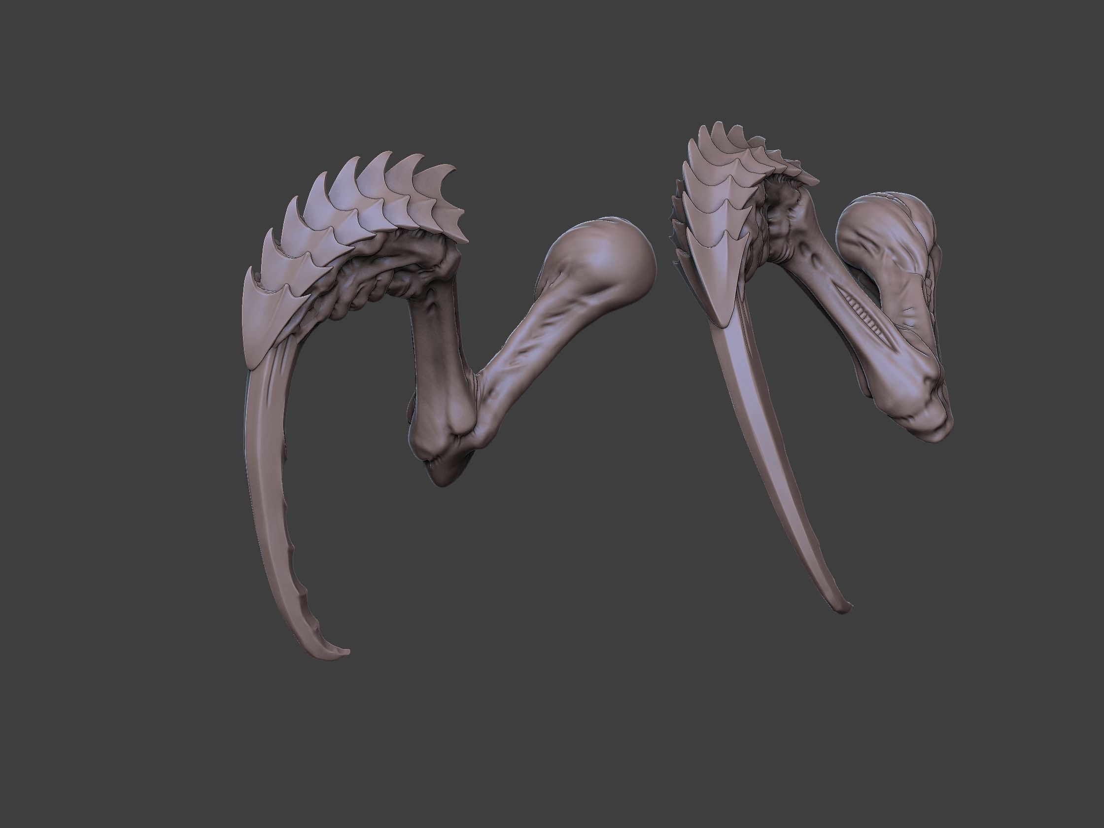 Xenoteras Maledictor 3D print model_21