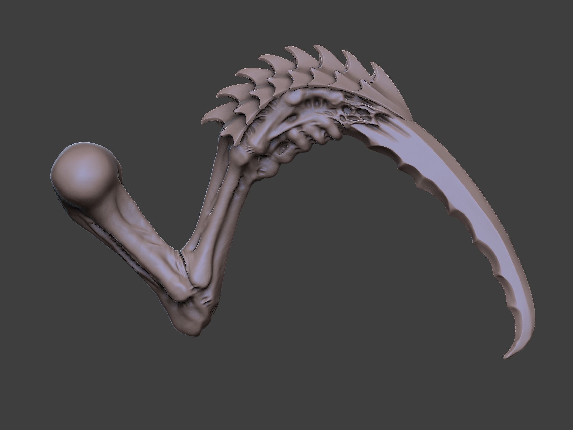 Xenoteras Maledictor 3D print model_19