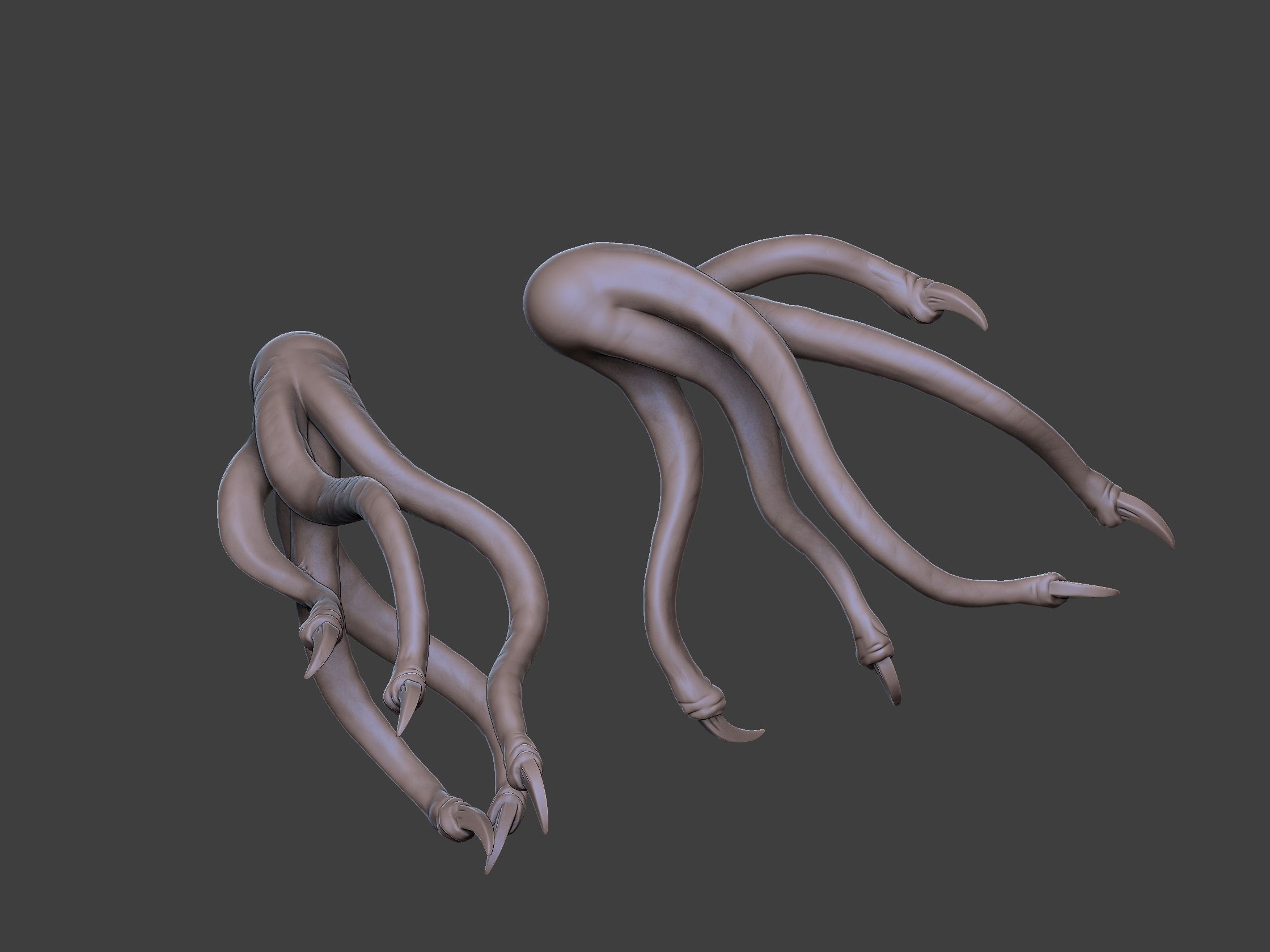 Xenoteras Maledictor 3D print model_23