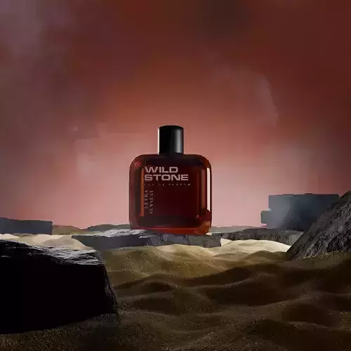wild stone parfume model 3D model
