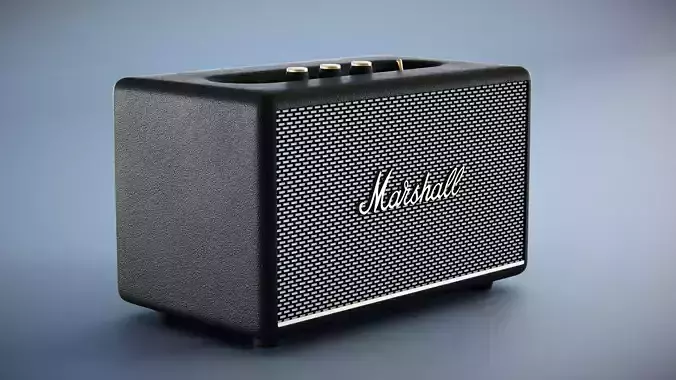 Marshall Acton Speaker