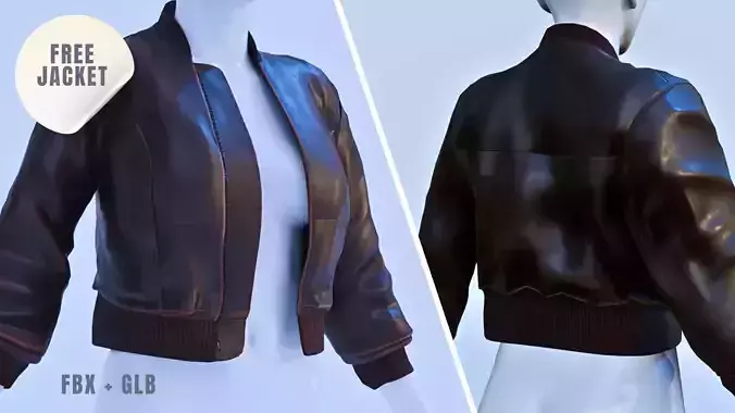 Brown leather Jacket  Free low-poly 3D model