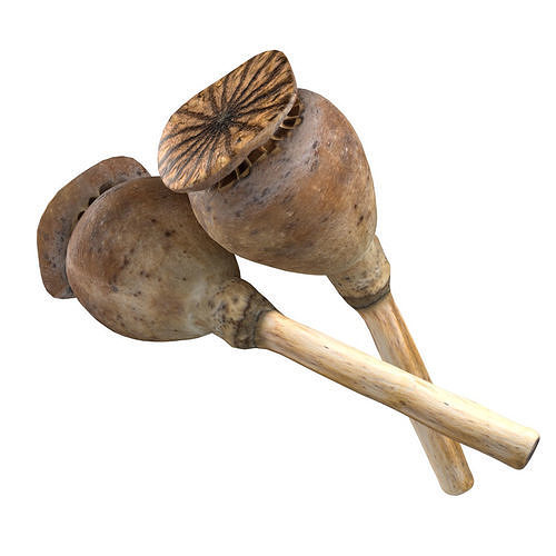 Dry Poppy Seed Low-poly 3D model