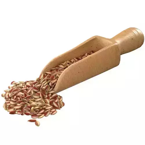 Flax Seed Scoop