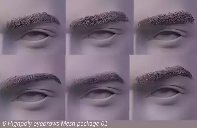 6 Highpoly mesh Eyebrows Pack 01 