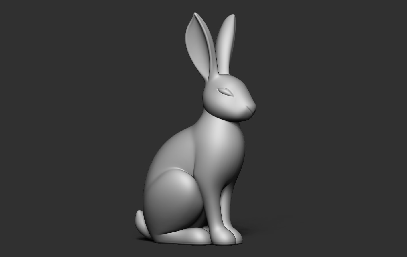 Rabbit 3D print model_16