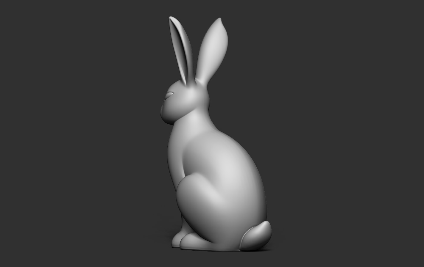 Rabbit 3D print model_13