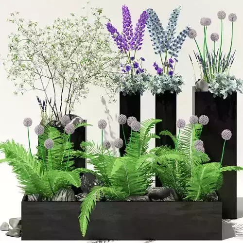 Flowerbeds in black pots