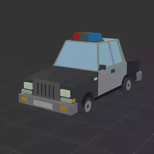 police car
