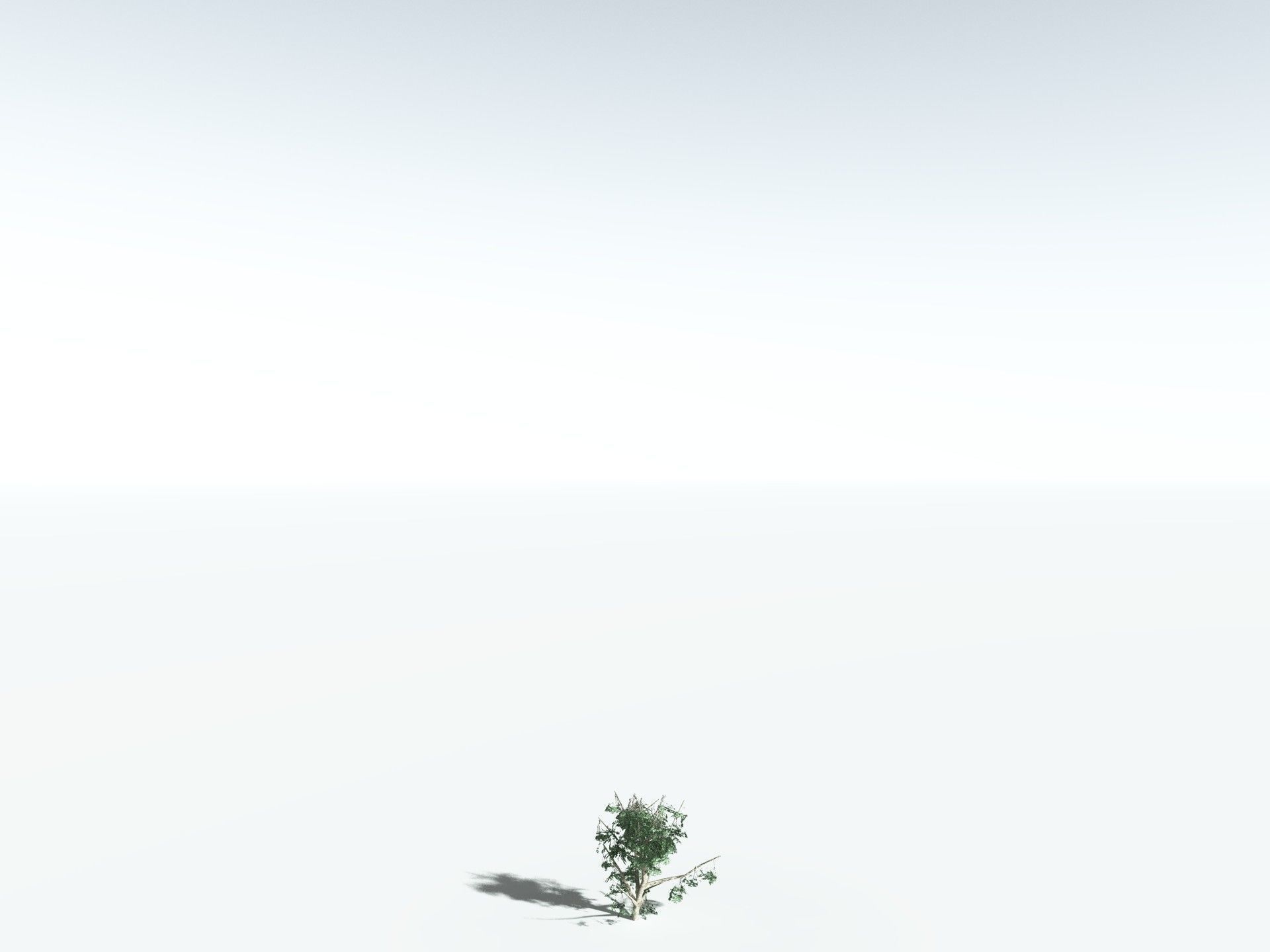 EVERYPlant River Redgum LowPoly Low-poly 3D model_26