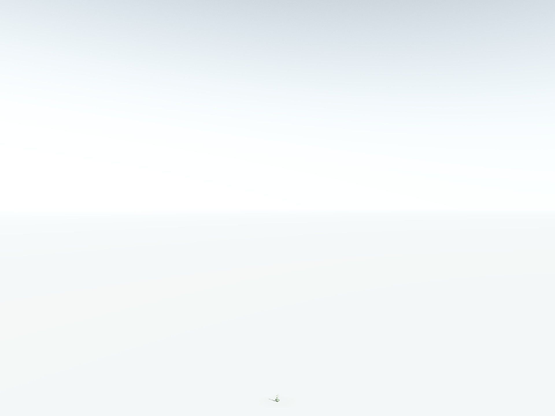 EVERYPlant River Redgum LowPoly Low-poly 3D model_30