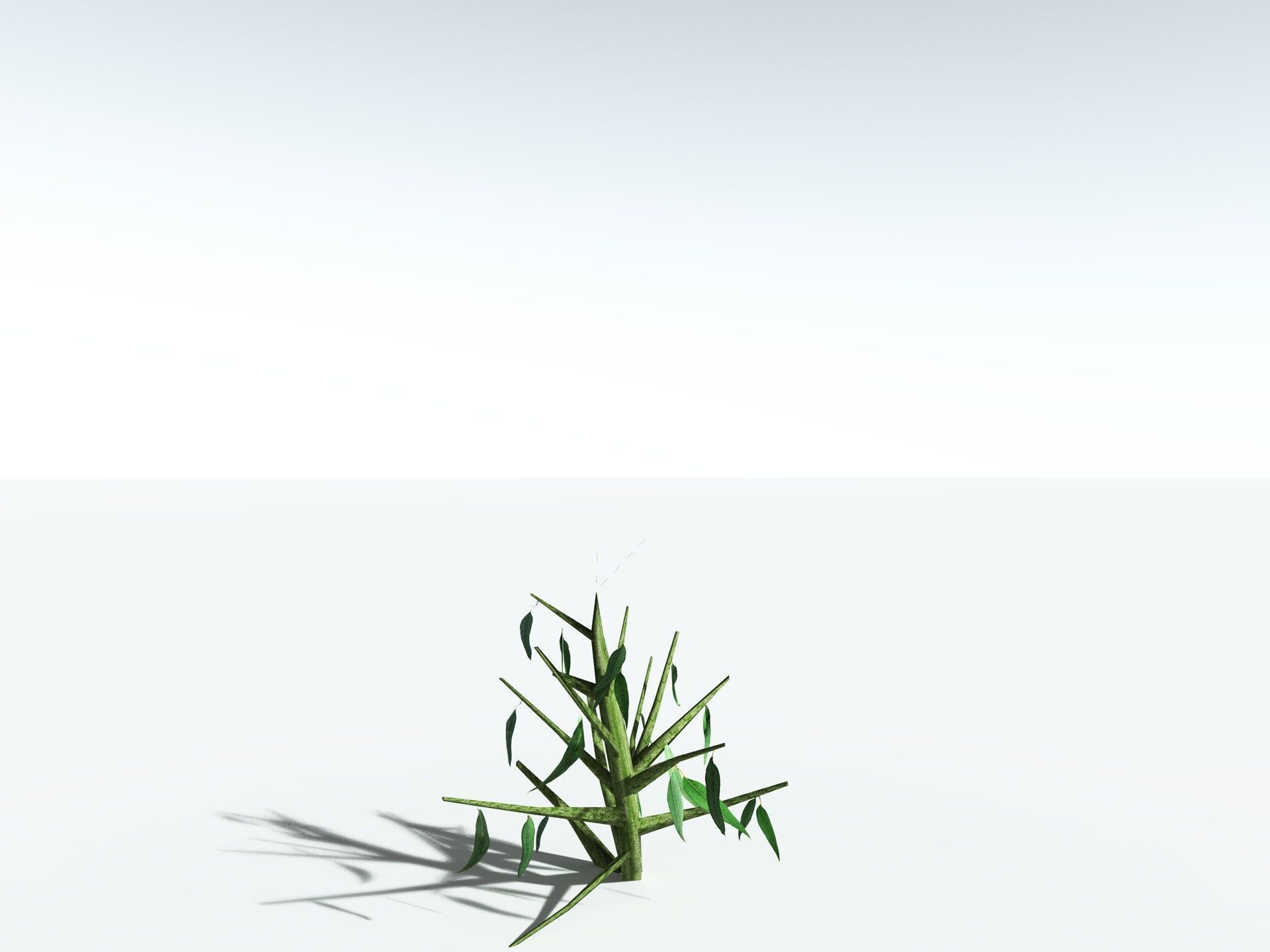 EVERYPlant River Redgum LowPoly Low-poly 3D model_29