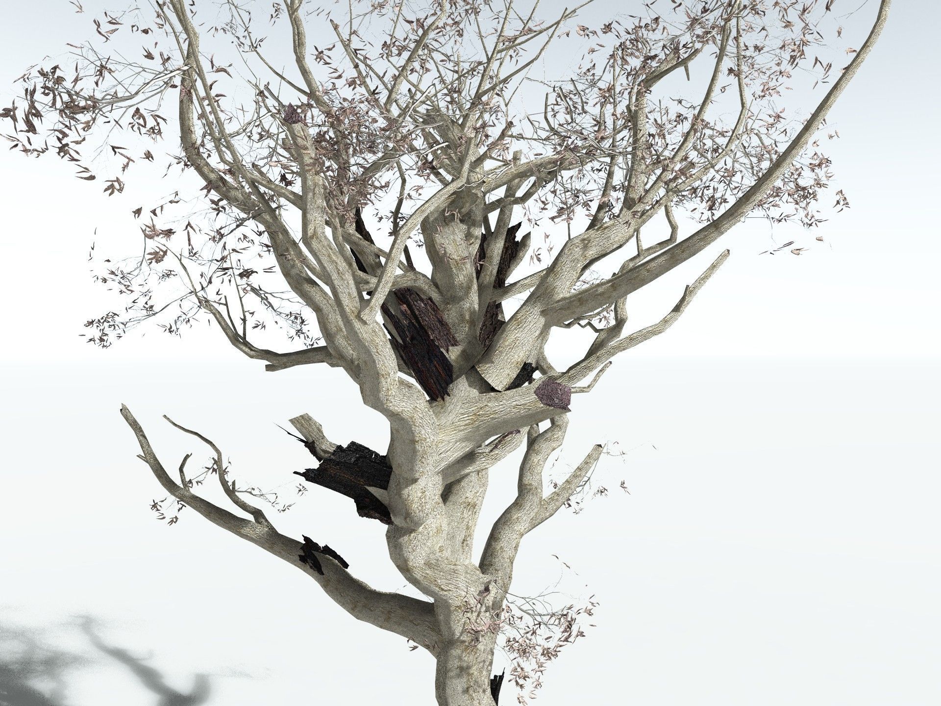 EVERYPlant River Redgum LowPoly Low-poly 3D model_19