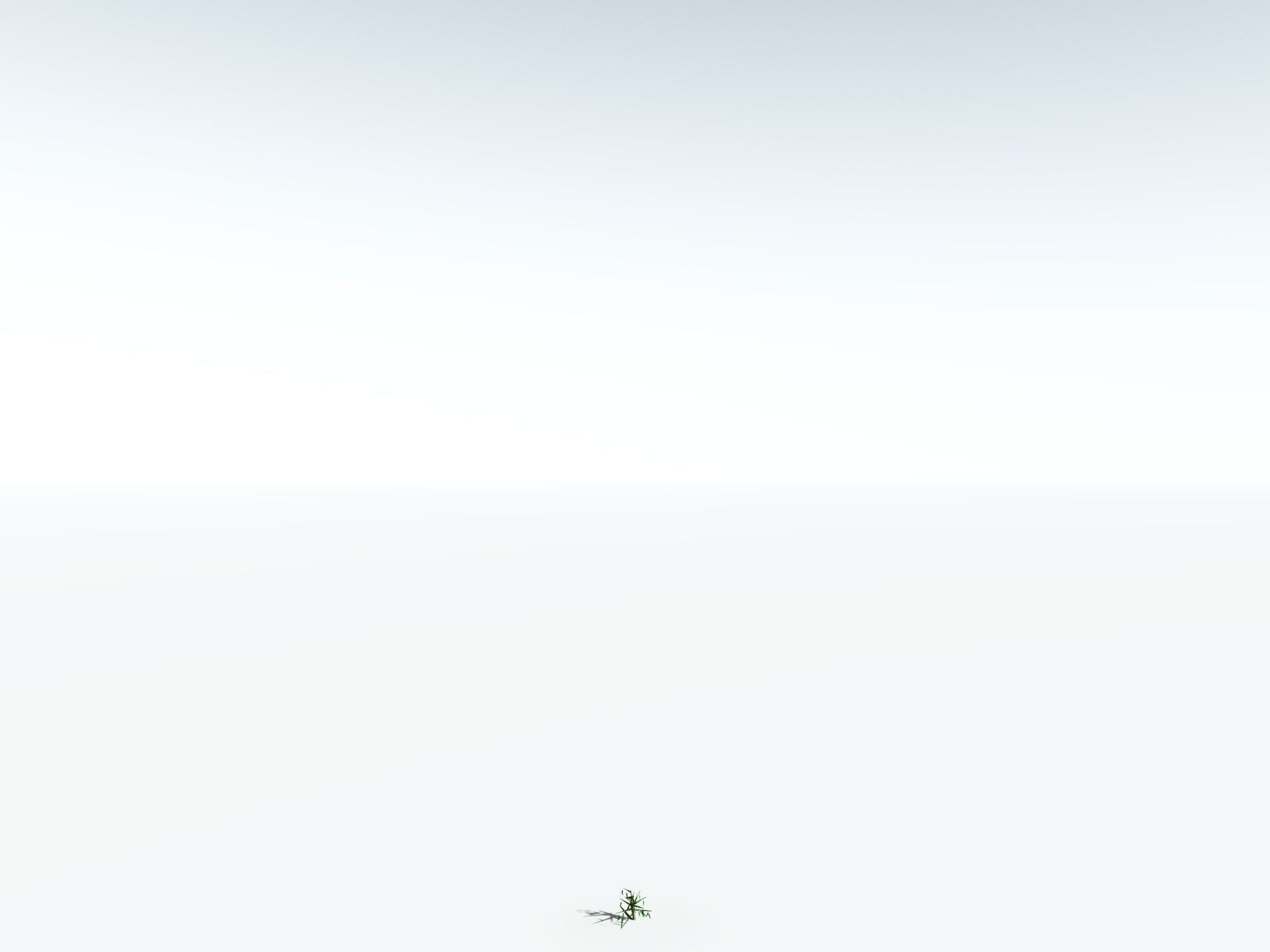 EVERYPlant River Redgum LowPoly Low-poly 3D model_28