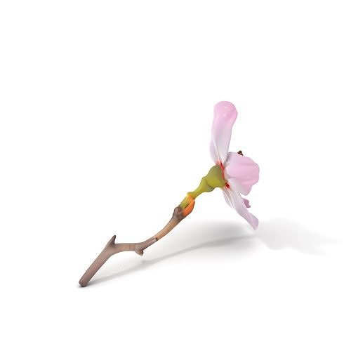 Cherry Blossom Branch Model Pack Low-poly 3D model