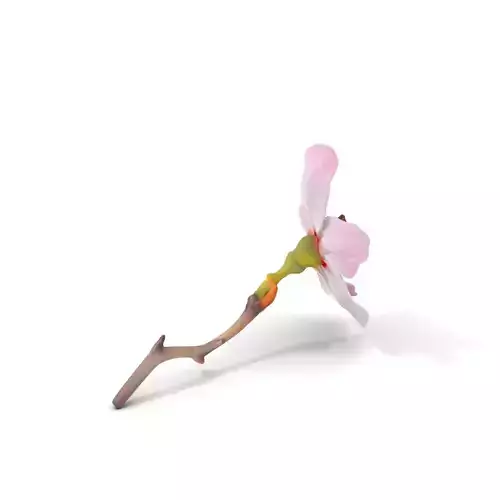 Cherry Blossom Branch Model Pack