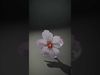 Cherry Blossom Branch Model Pack Low-poly 3D model_2