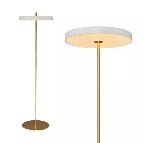 Asteria Floor Lamp 3D Model  3D model