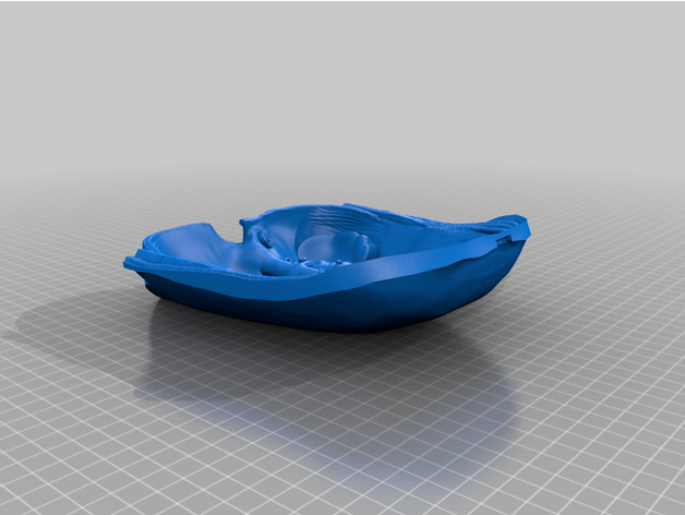 Human Anatomy Torso Model  3D print model_15