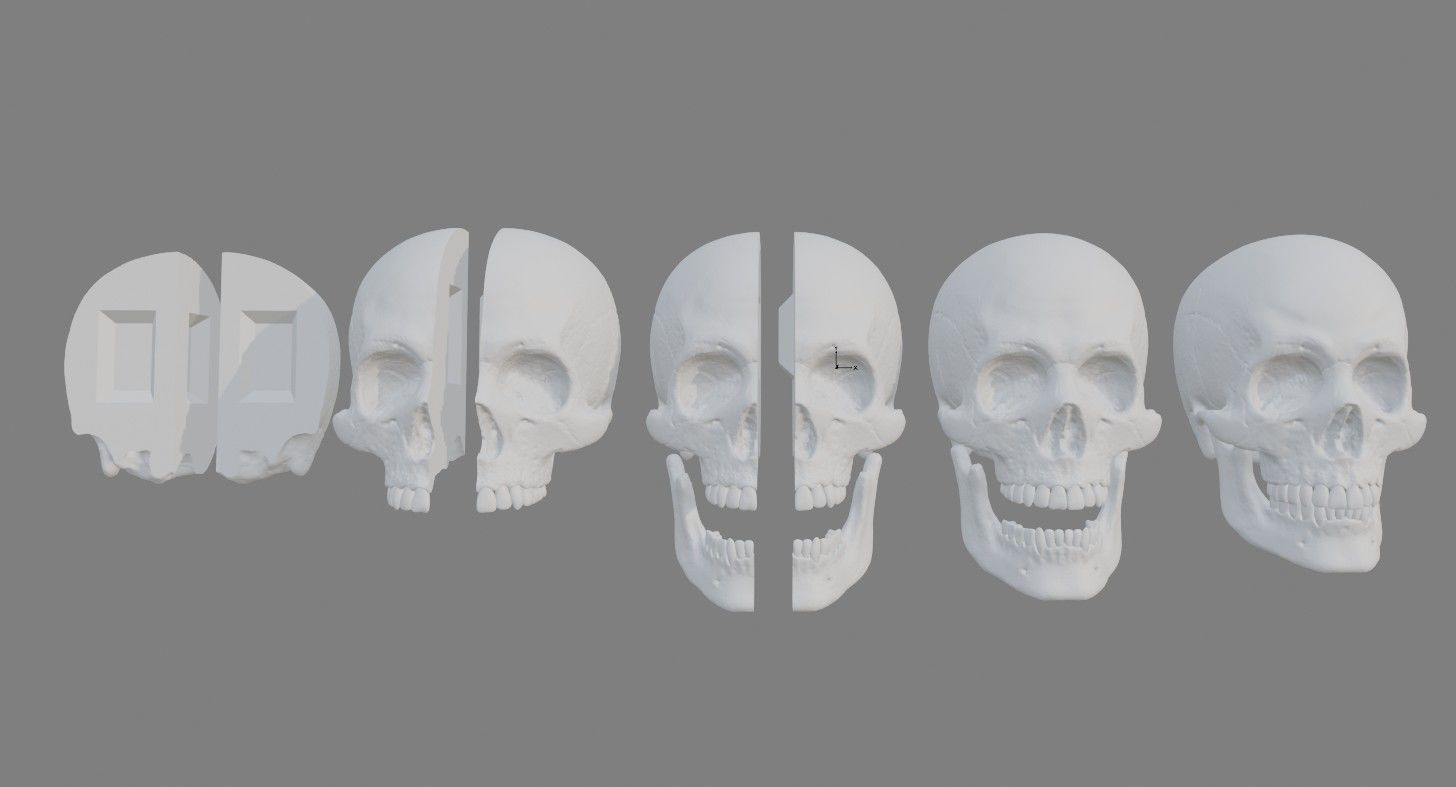 Skull Human Free 3D print model_6