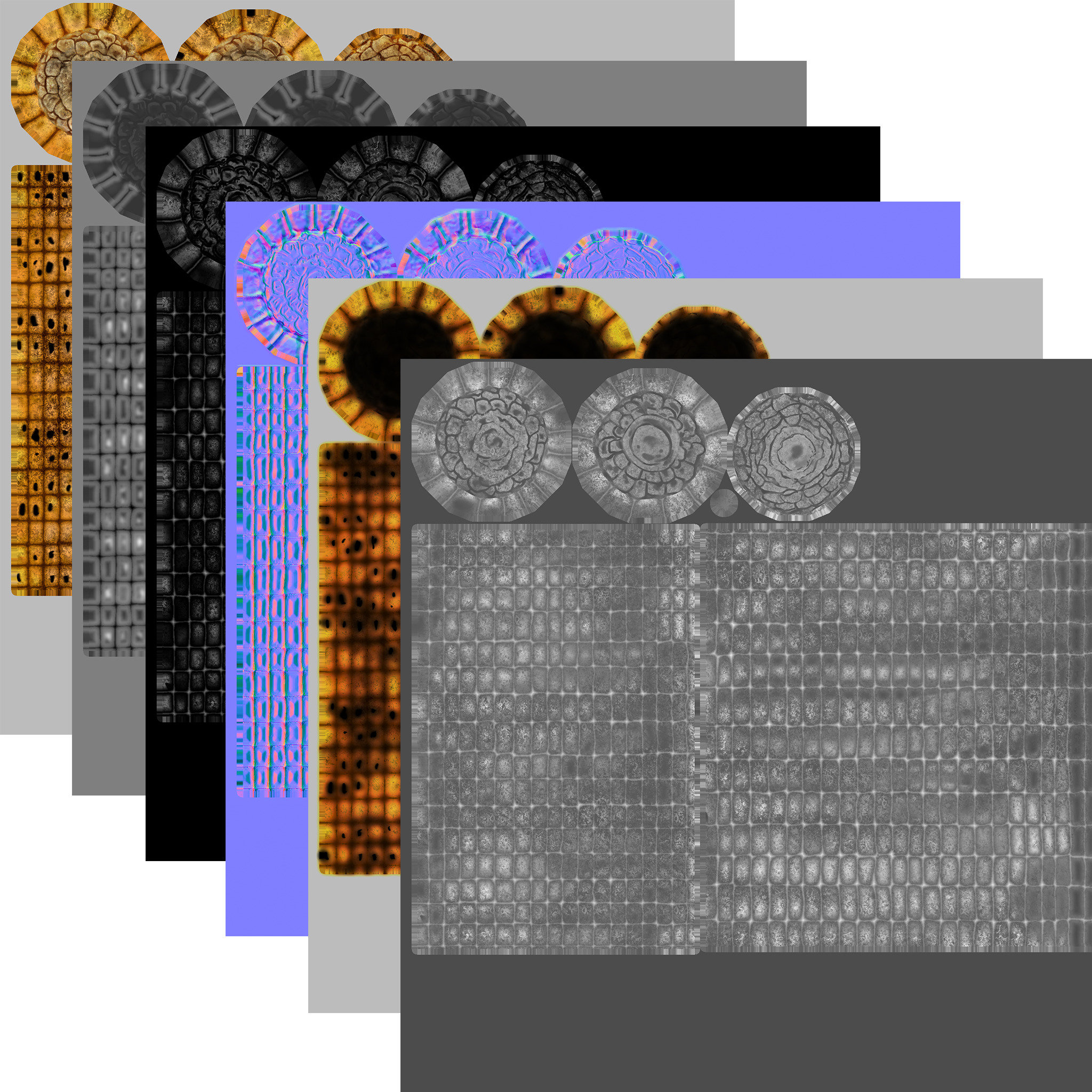 Grilled Corn - High Poly 3D Model 3D model_14