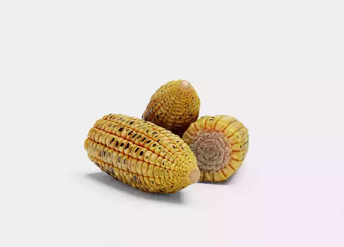 Grilled Corn - High Poly 3D Model