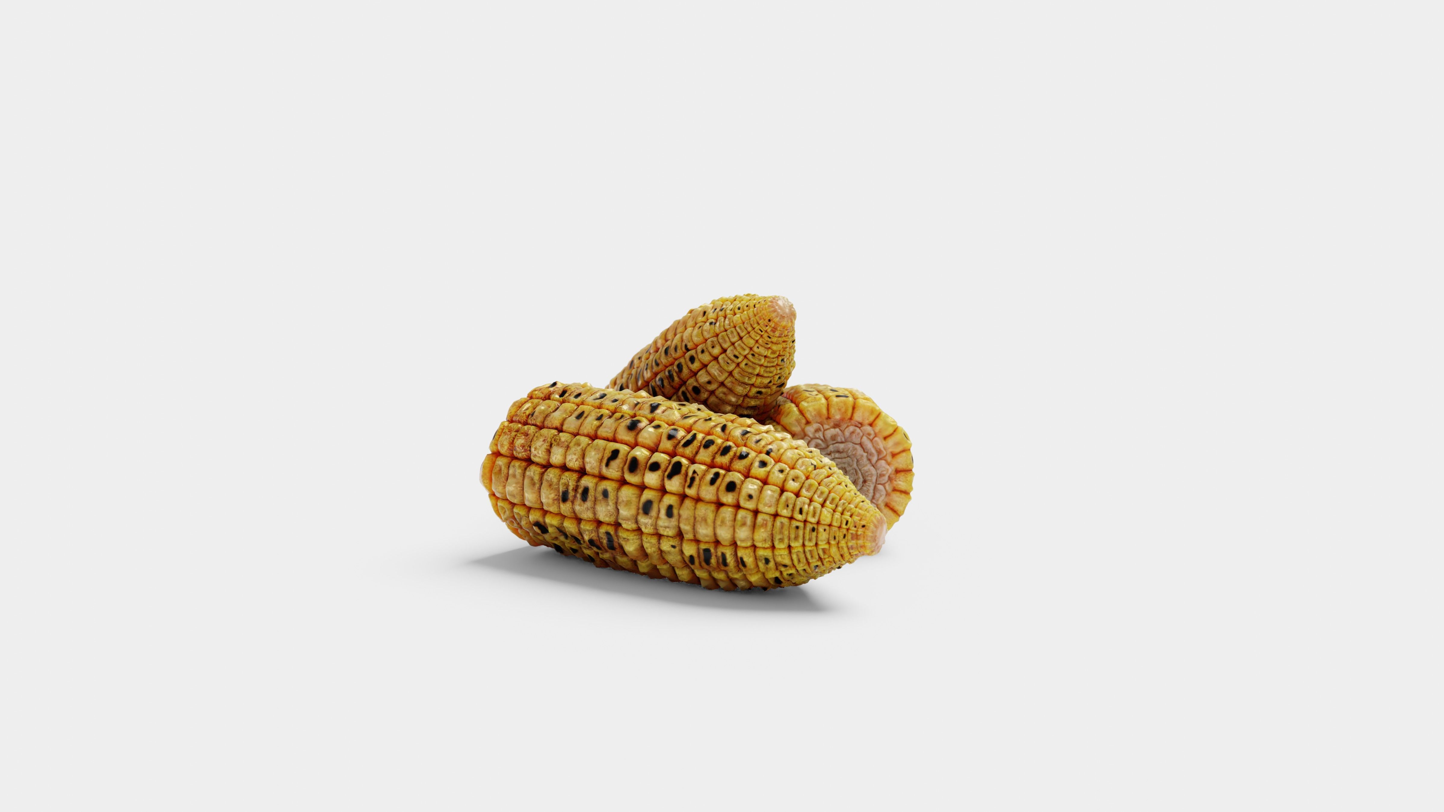 Grilled Corn - High Poly 3D Model 3D model_1